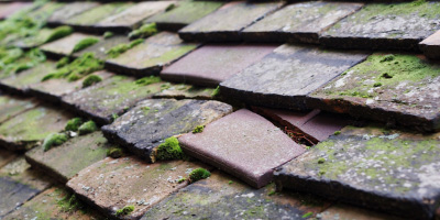 Aigburth roof repair costs